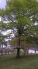 WP_20160515_002-ConvertImage-ConvertImage.jpg
