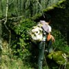 au-fond-des-bois-copie.jpg