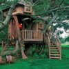 cabane-dans-les-arbres.jpg