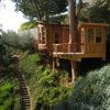 The_Eucalyptus_Treehouse_Pete_Nelson.jpg
