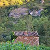 maison_vigne.jpg