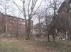 Drzewo_Wysylka_IMG_3229 (1).JPG