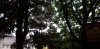 20190828_180324.jpg