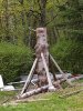 IMG_20210513_182210_compress65.jpg